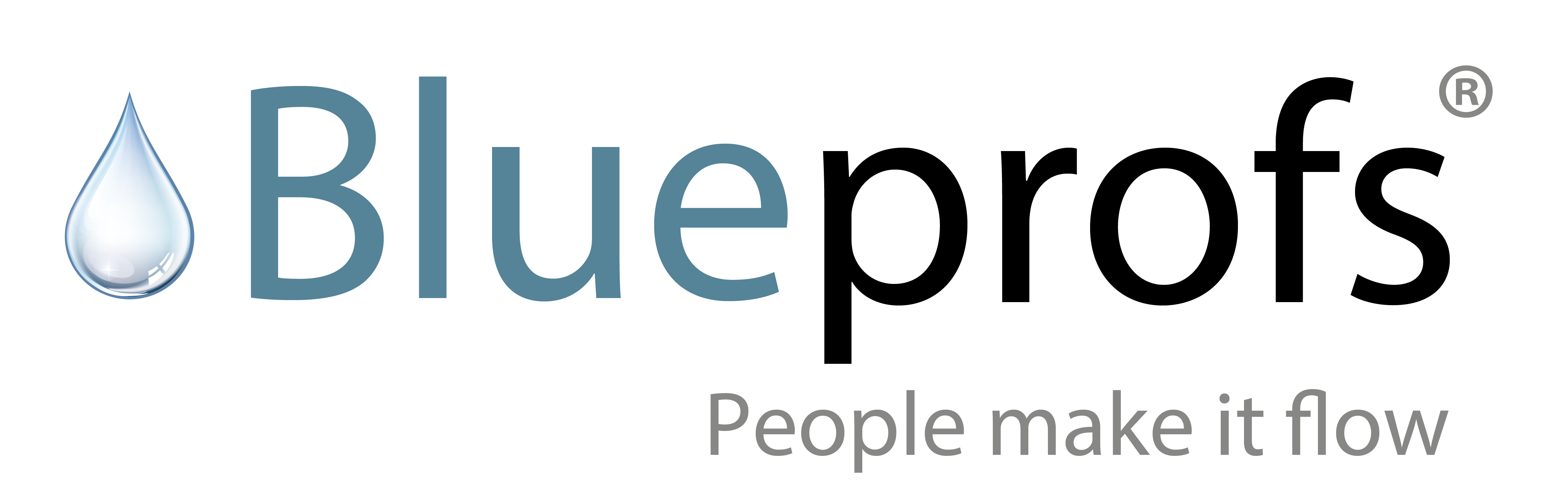 Blueprofs
